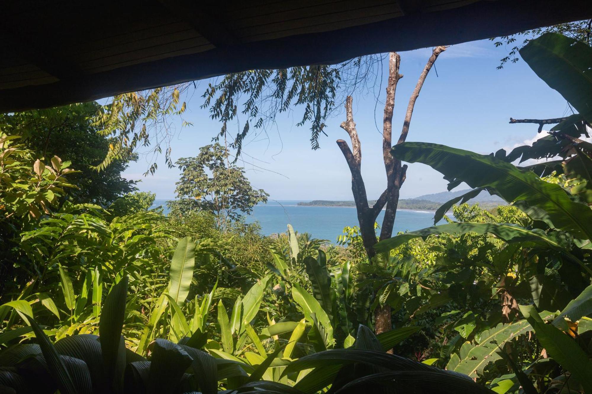 La Cusinga Lodge Uvita Exterior photo